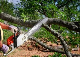 Best Weed Control  in Eagleview, PA